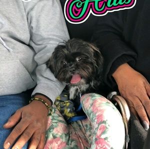 Meet your Posher, Karla